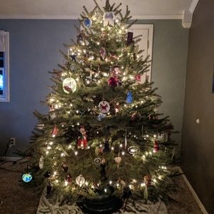 Meet your Posher, Charlotte